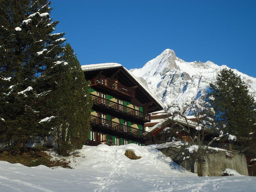 Tschuggen Apartment - No Kitchen Grindelwald Exterior foto