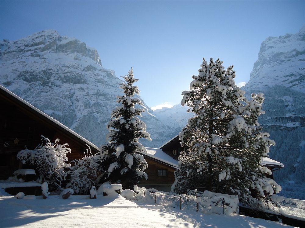 Tschuggen Apartment - No Kitchen Grindelwald Exterior foto