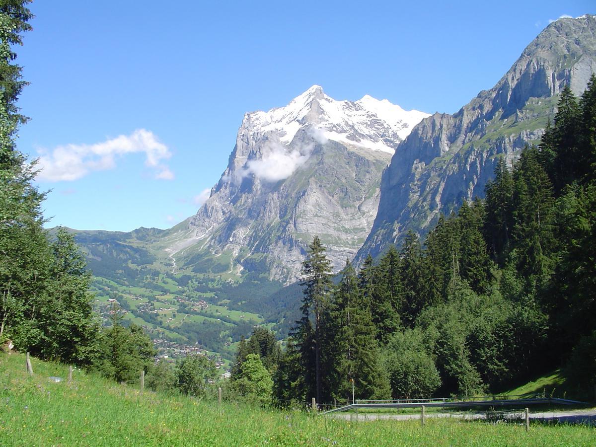 Tschuggen Apartment - No Kitchen Grindelwald Exterior foto