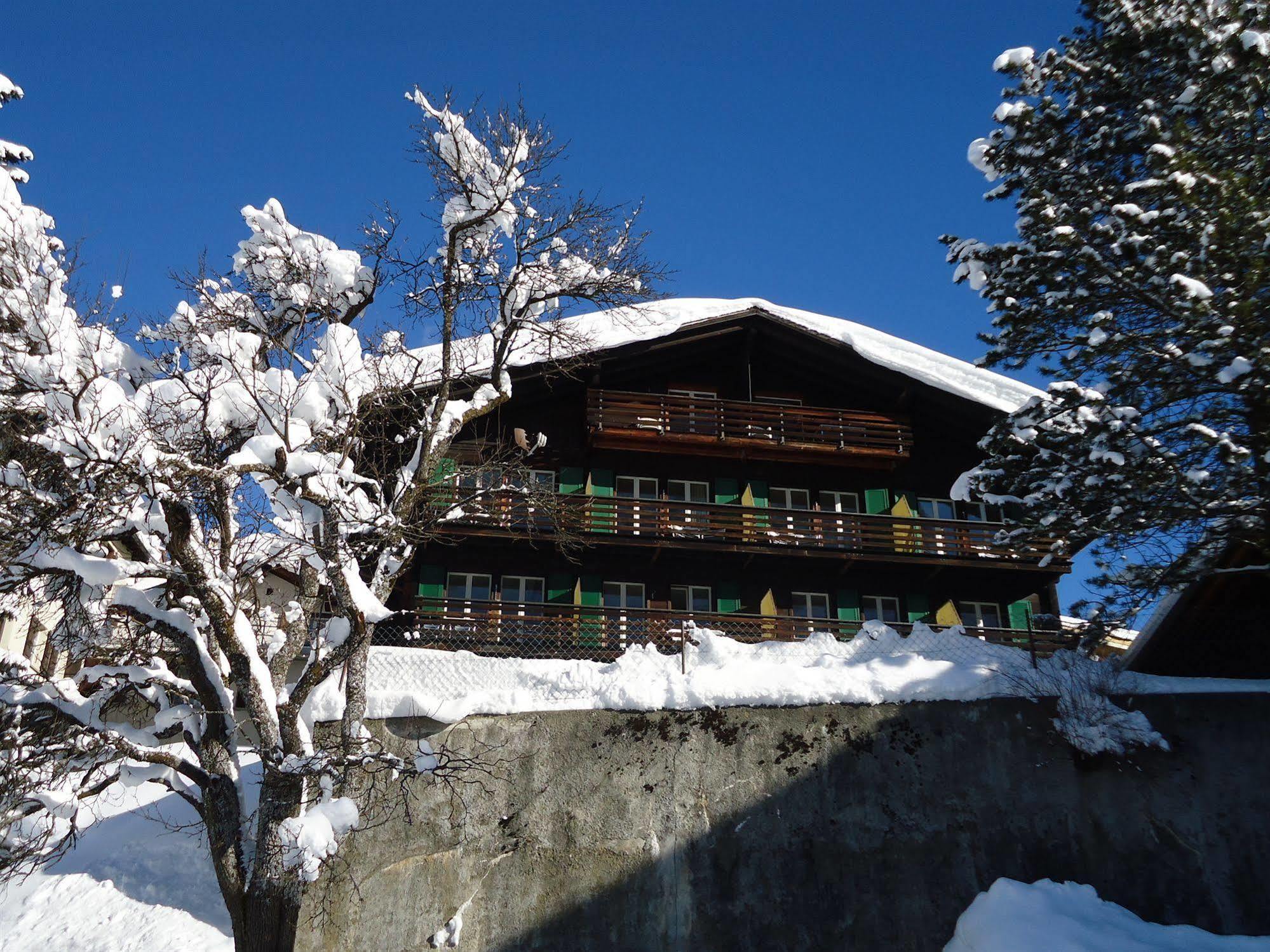 Tschuggen Apartment - No Kitchen Grindelwald Exterior foto