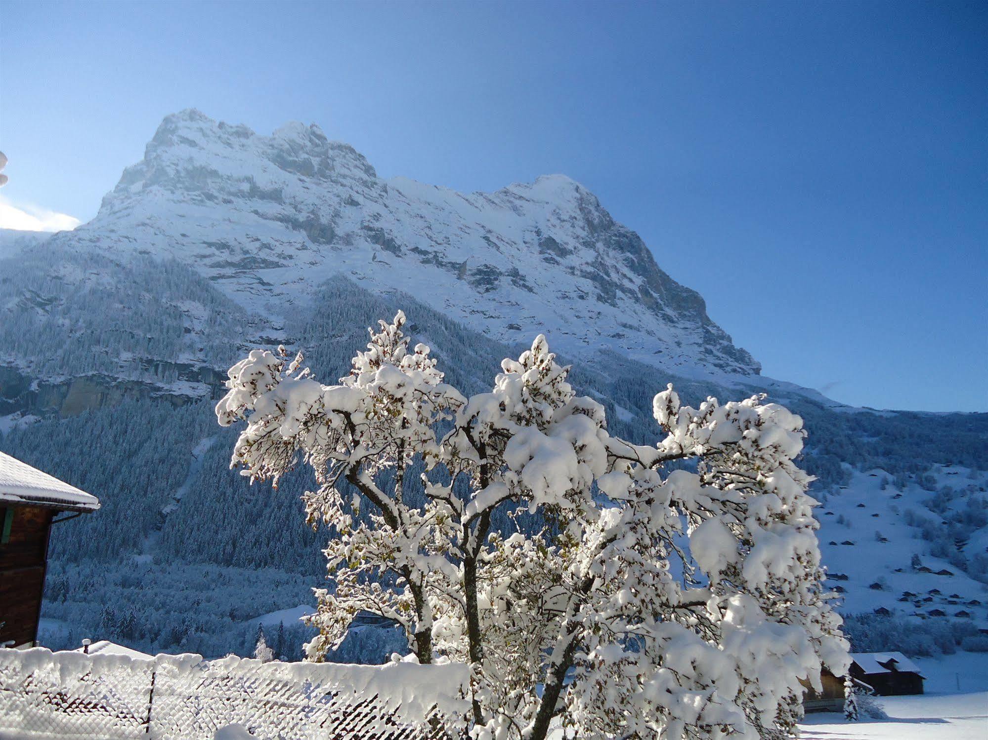 Tschuggen Apartment - No Kitchen Grindelwald Exterior foto