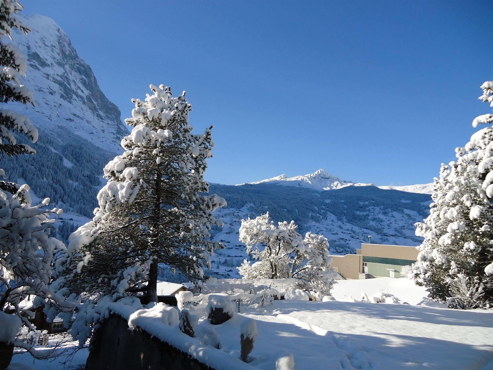 Tschuggen Apartment - No Kitchen Grindelwald Exterior foto