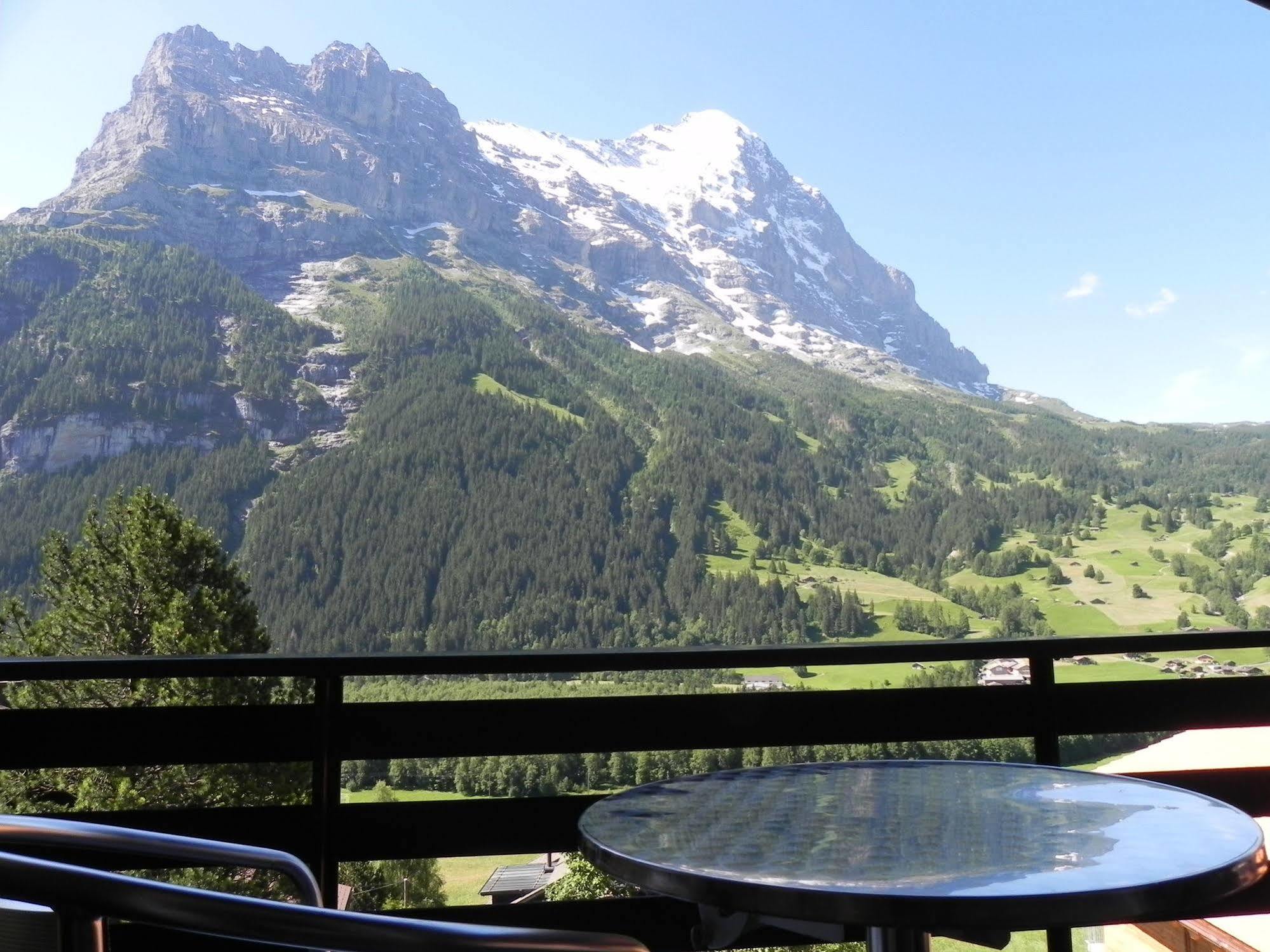 Tschuggen Apartment - No Kitchen Grindelwald Exterior foto