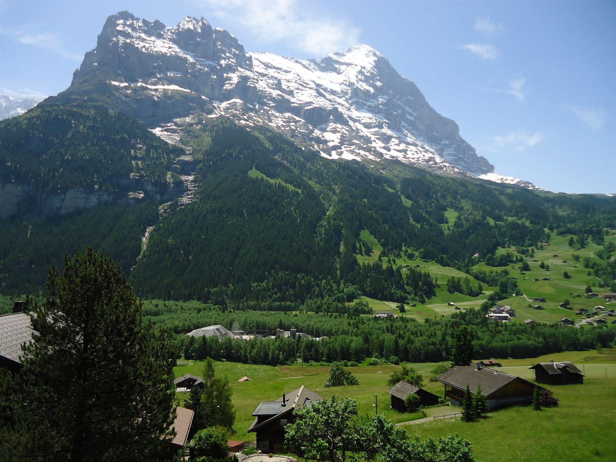 Tschuggen Apartment - No Kitchen Grindelwald Exterior foto